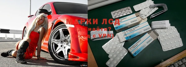 apvp Армянск